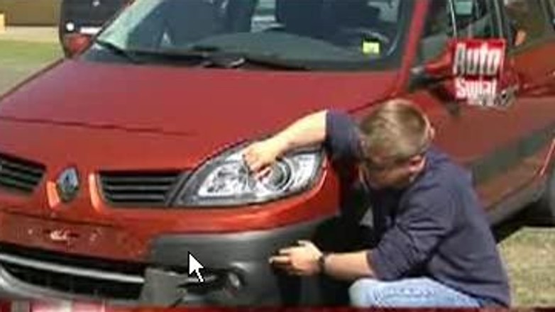 Co robić gdy potrącimy zwierzę?