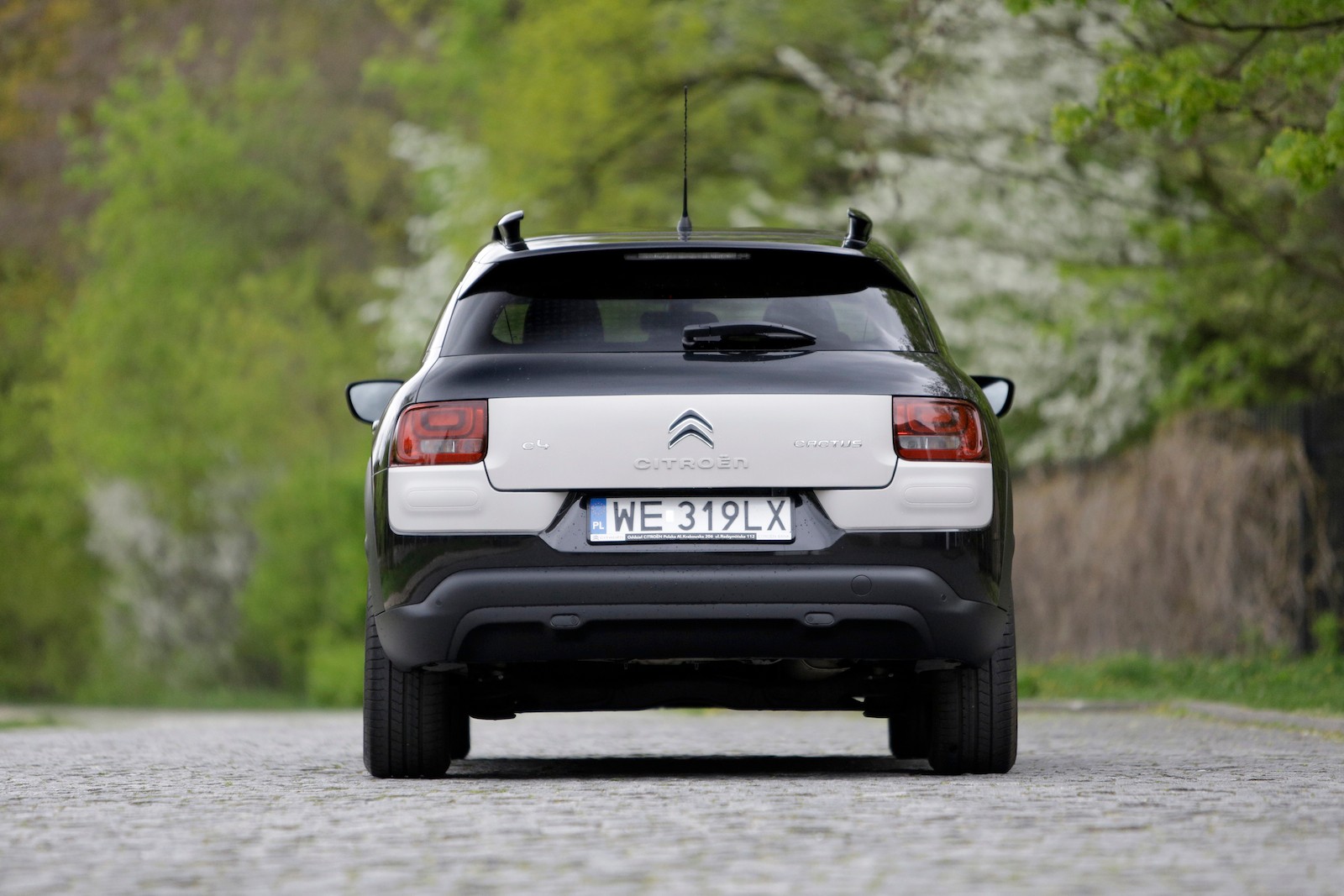 Citroën C4 Cactus 1.2/110 KM More Life