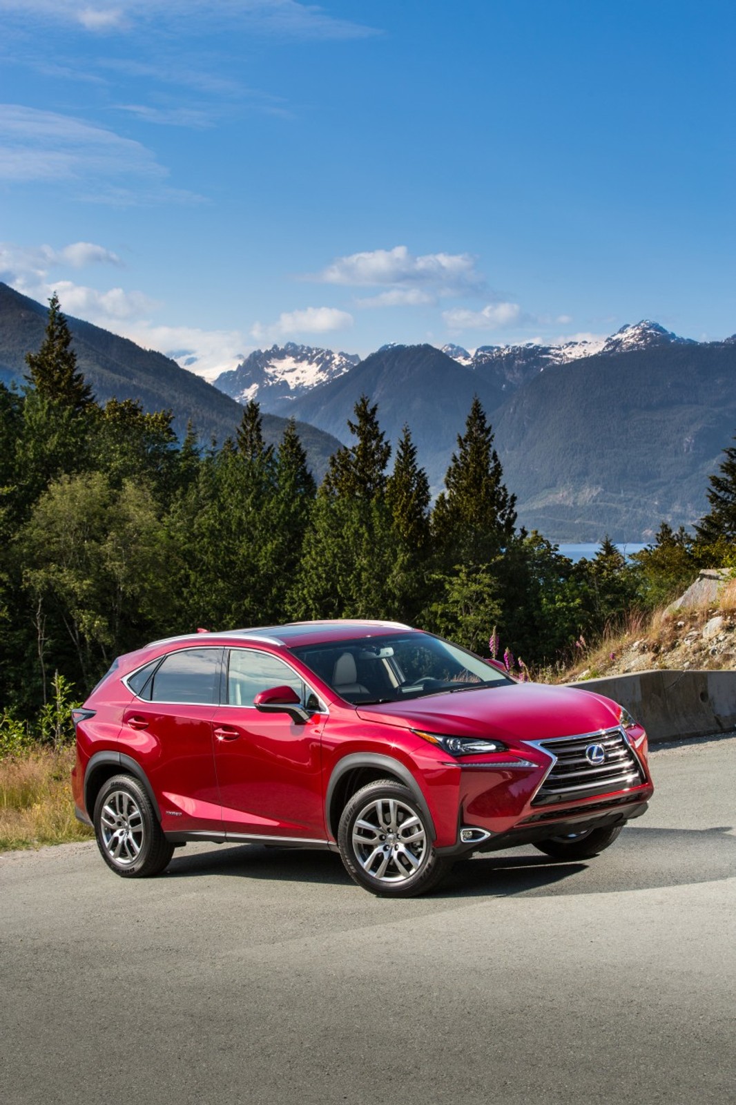 Lexus NX 300h