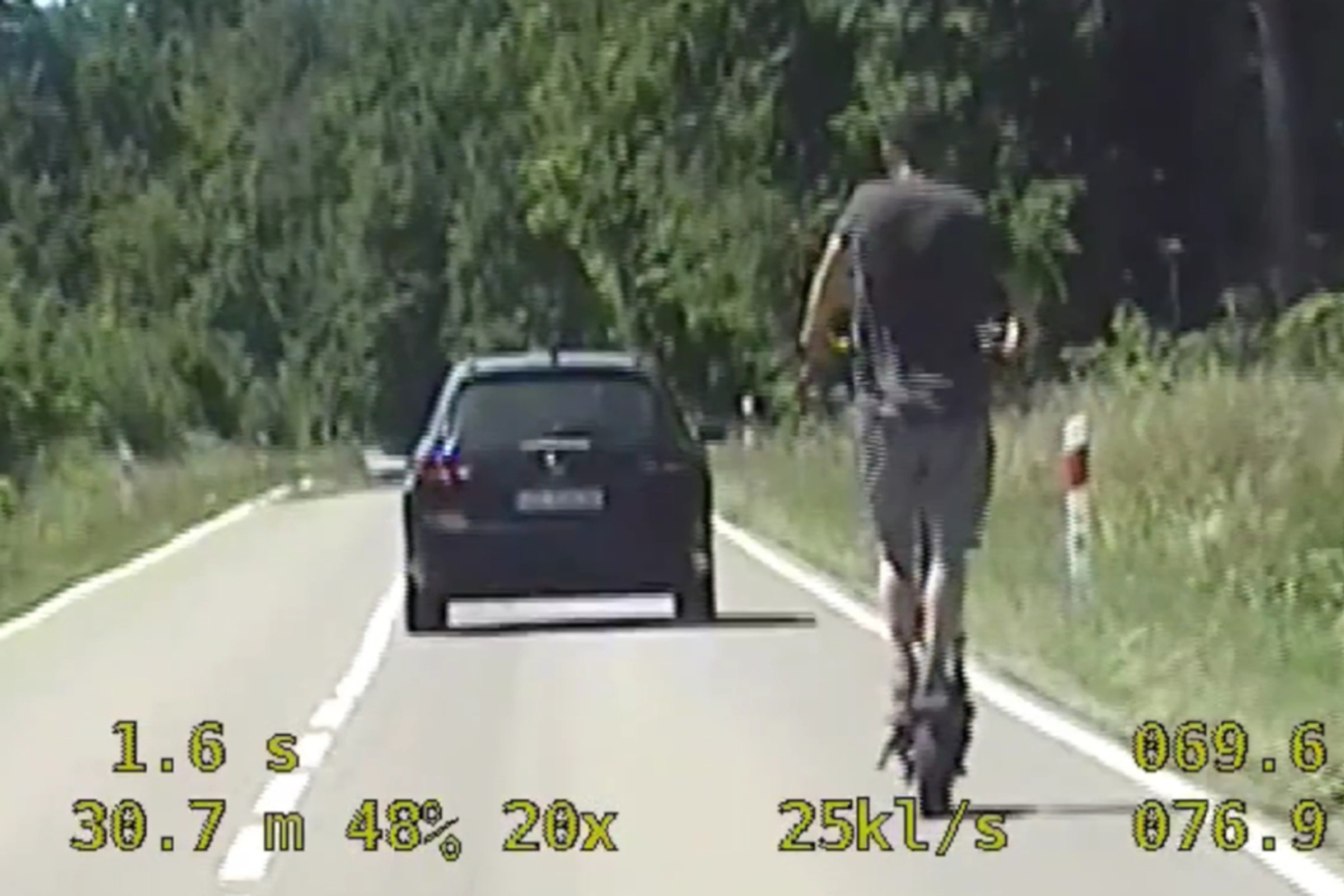 Policjanci zmierzyli prędkość hulajnogi elektrycznej. To było szaleństwo