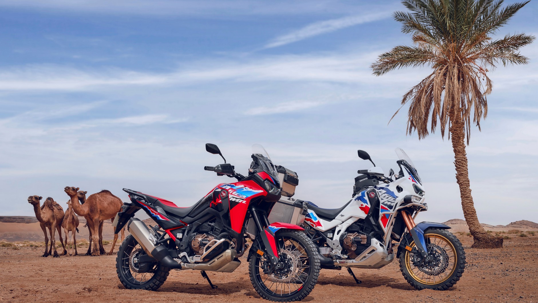 Honda 24YM CRF1100L AFRICA TWIN ADVENTURE SPORTS
