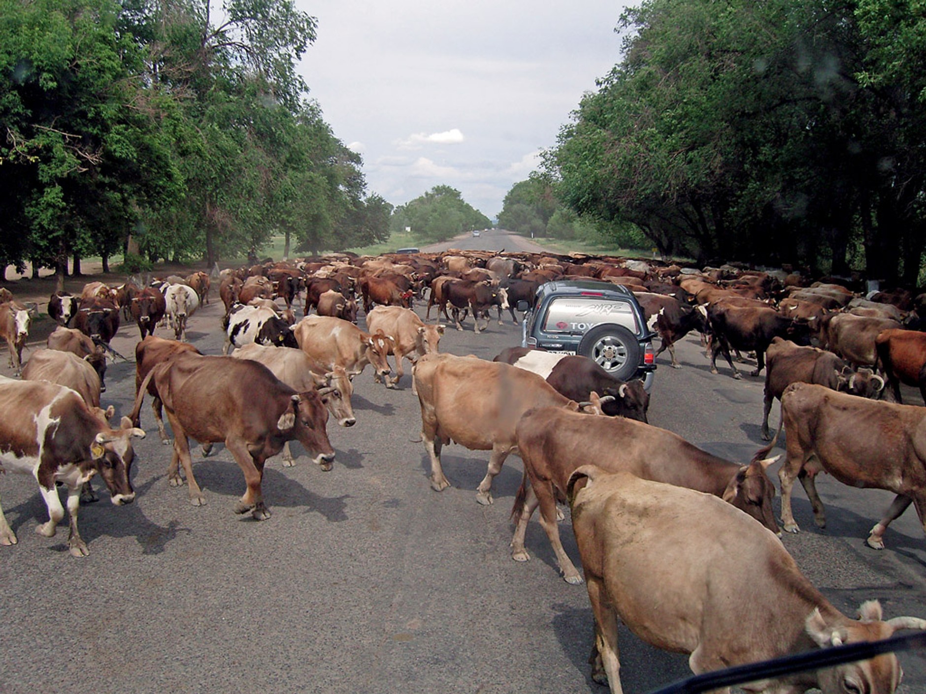 Azjatyckie przyciąganie: ciężarówką i motocyklami do Kazachstanu
