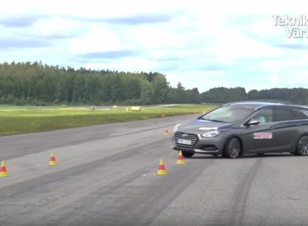 Hyundai i40 pokonany przez łosia