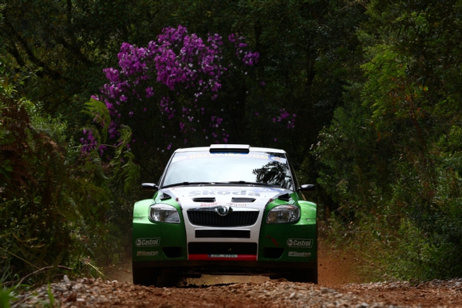 Rally de Curitiba 2010: pewne zwycięstwo Krisa Meeke, Juho Hänninen liderem IRC
