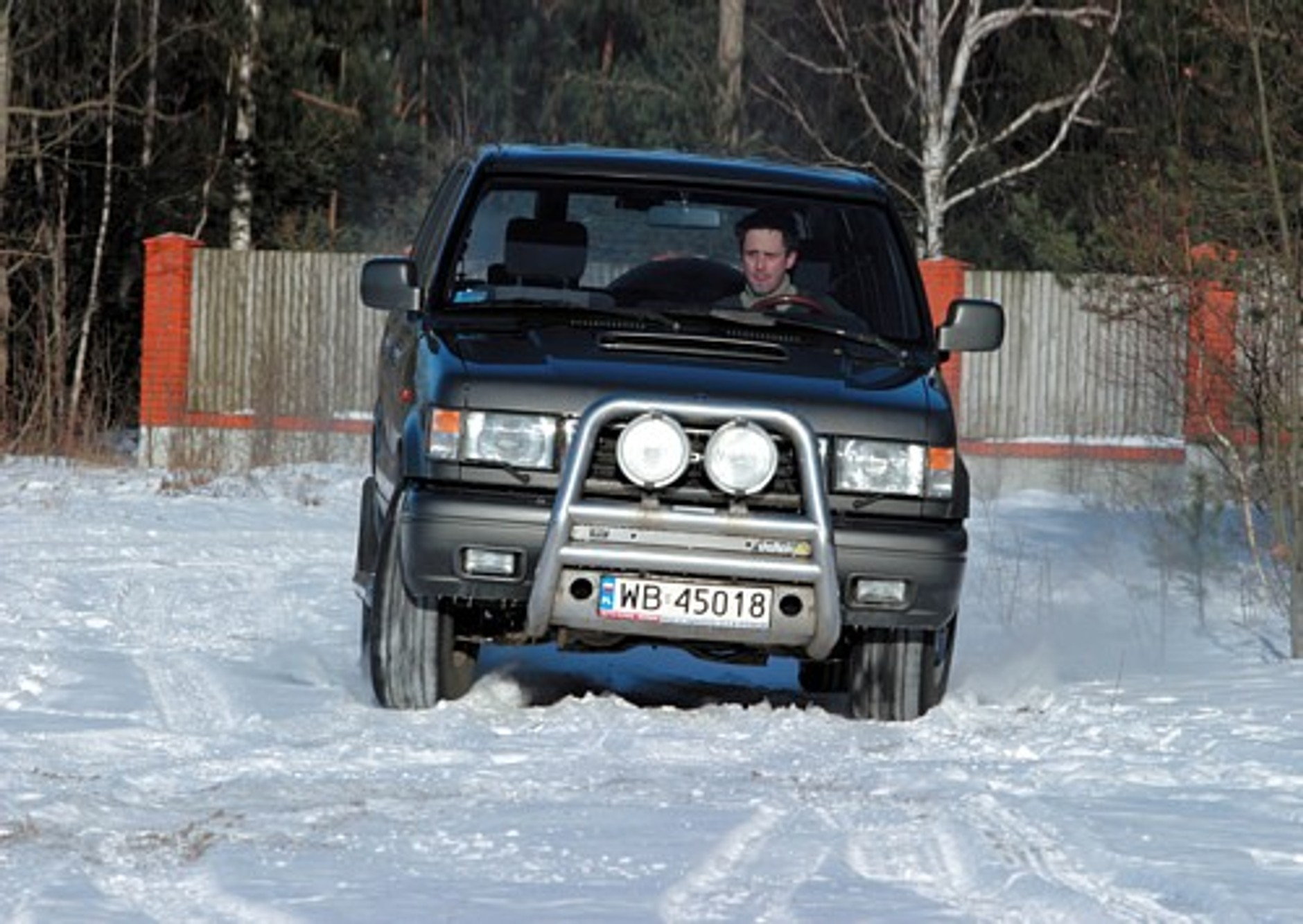 Z japońskim rodowodem