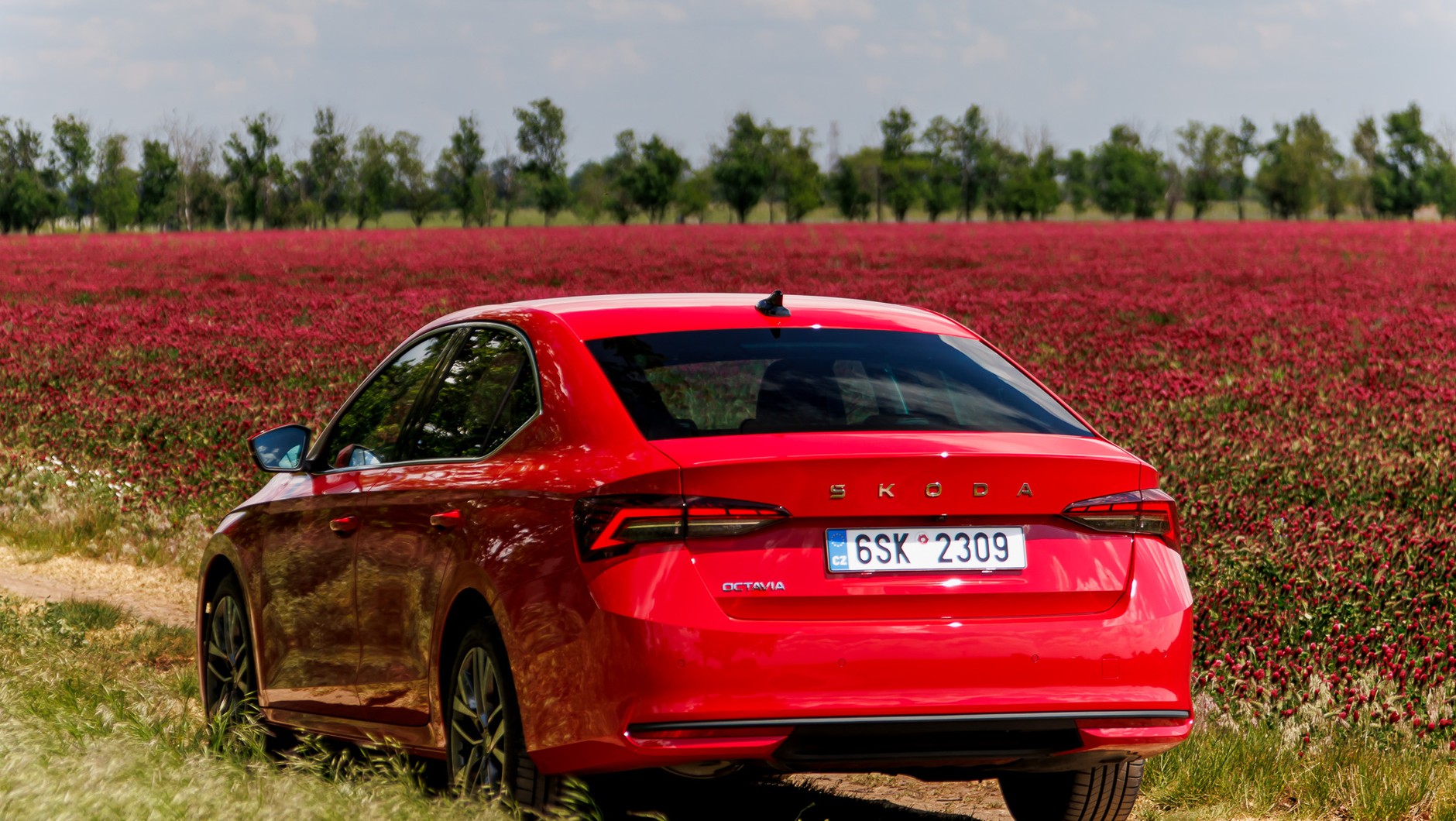 2024 Skoda Octavia
