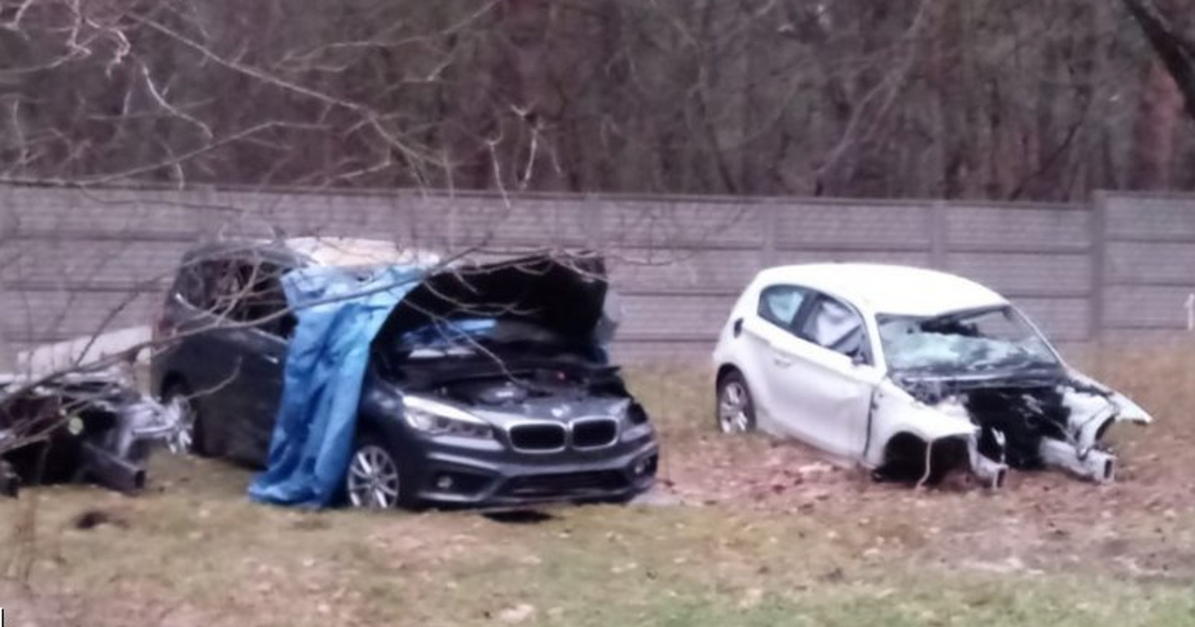 Policjanci dotarli do dziupli samochodowej