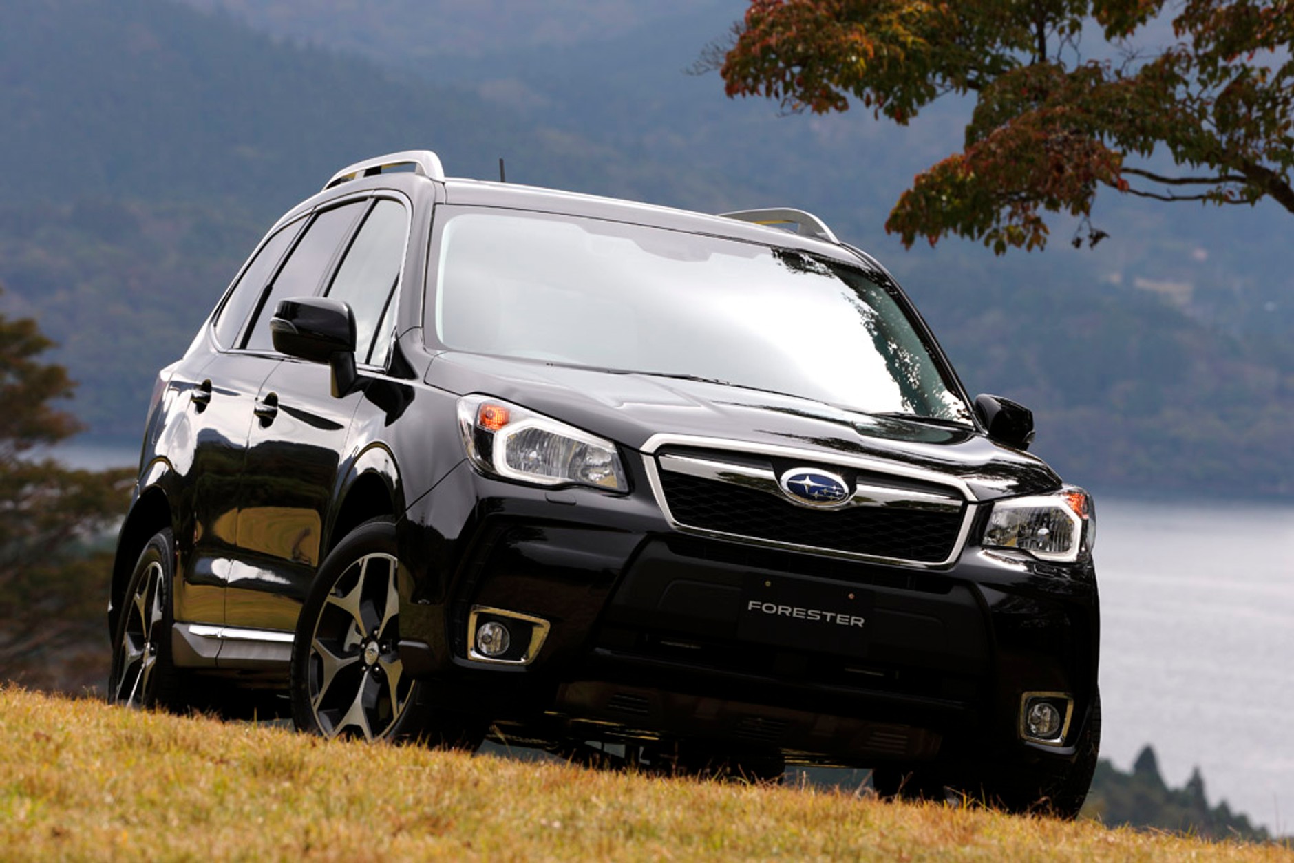 Nowy Subaru Forester: po prostu SUV