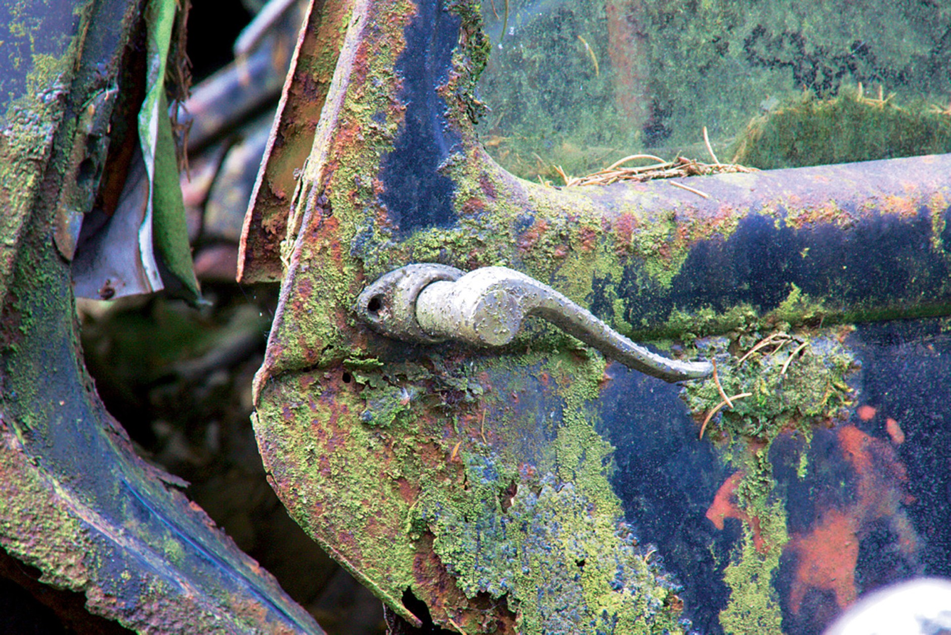 Cmentarzysko aut Niemcy