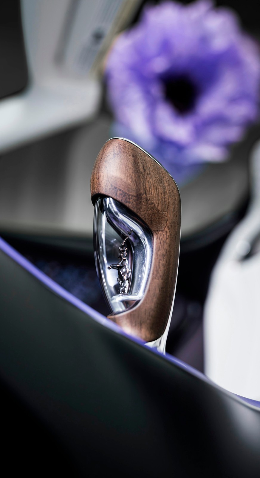 Bugatti Mistral Caroline