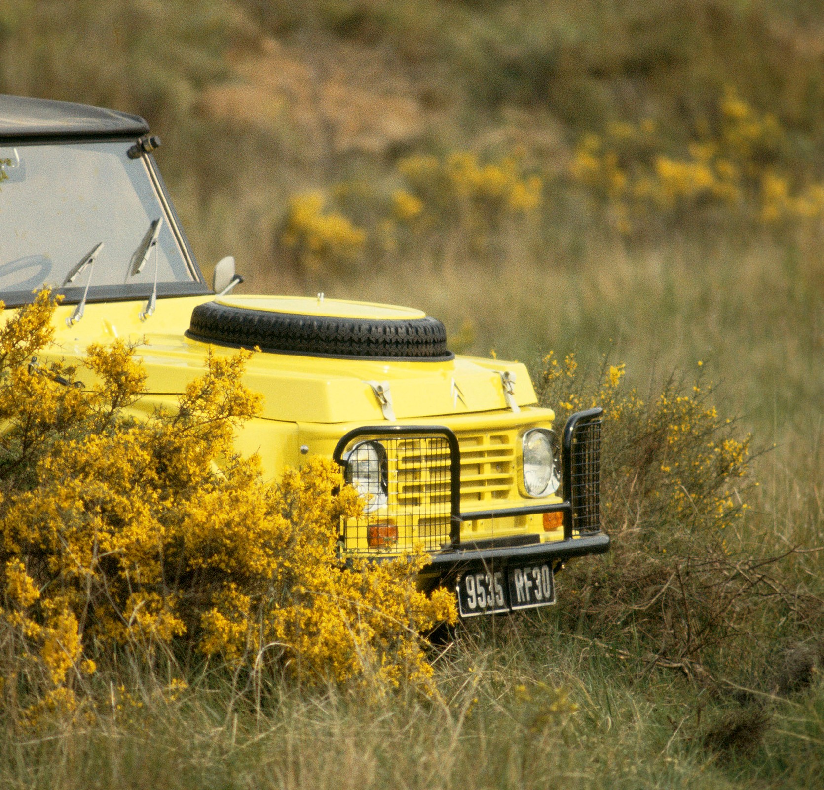 Galeria dnia - Citroen Mehari