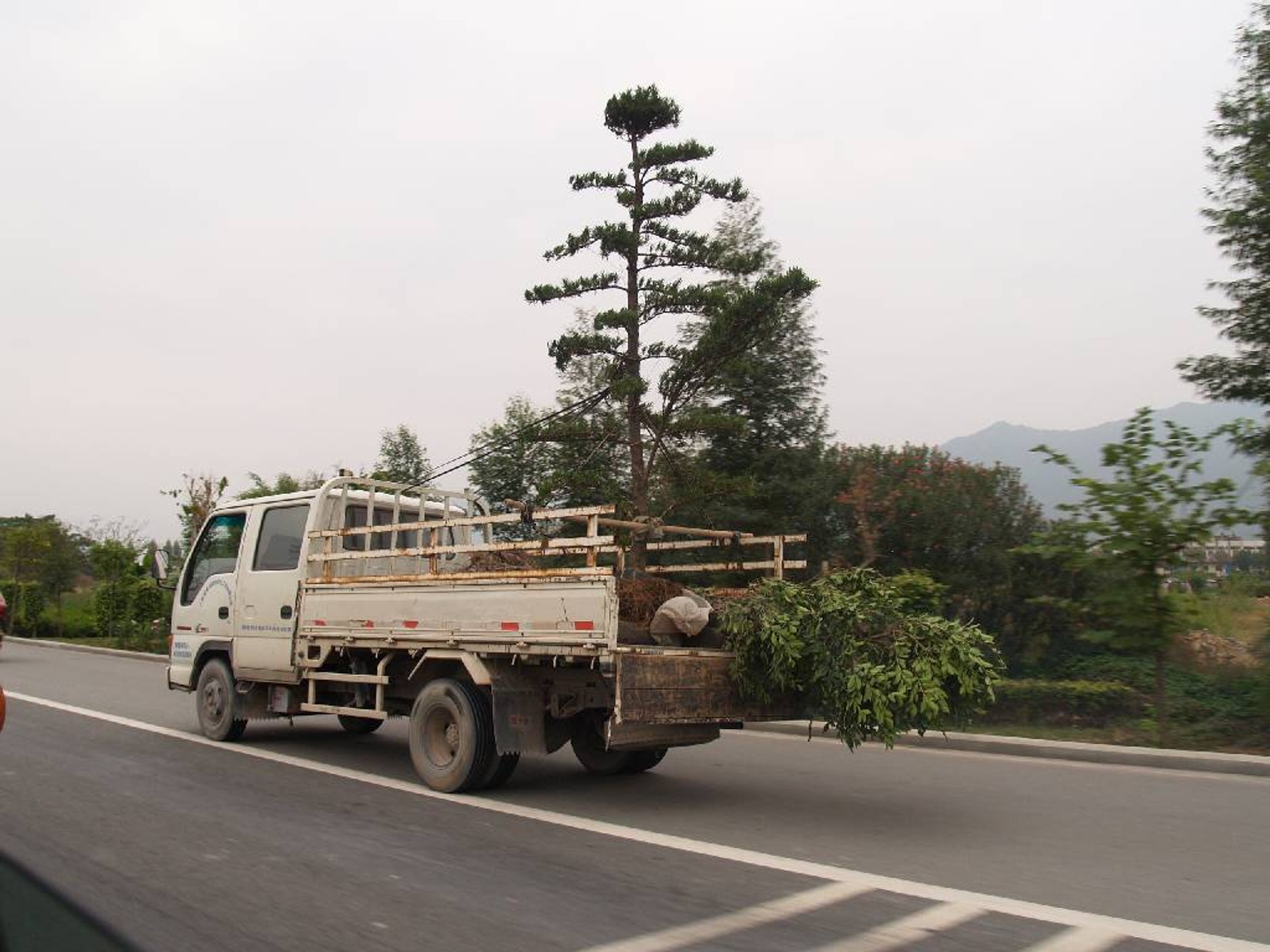 Audi Q3 na chińskich drogach: zobaczcie co jeździ za Wielkim Murem