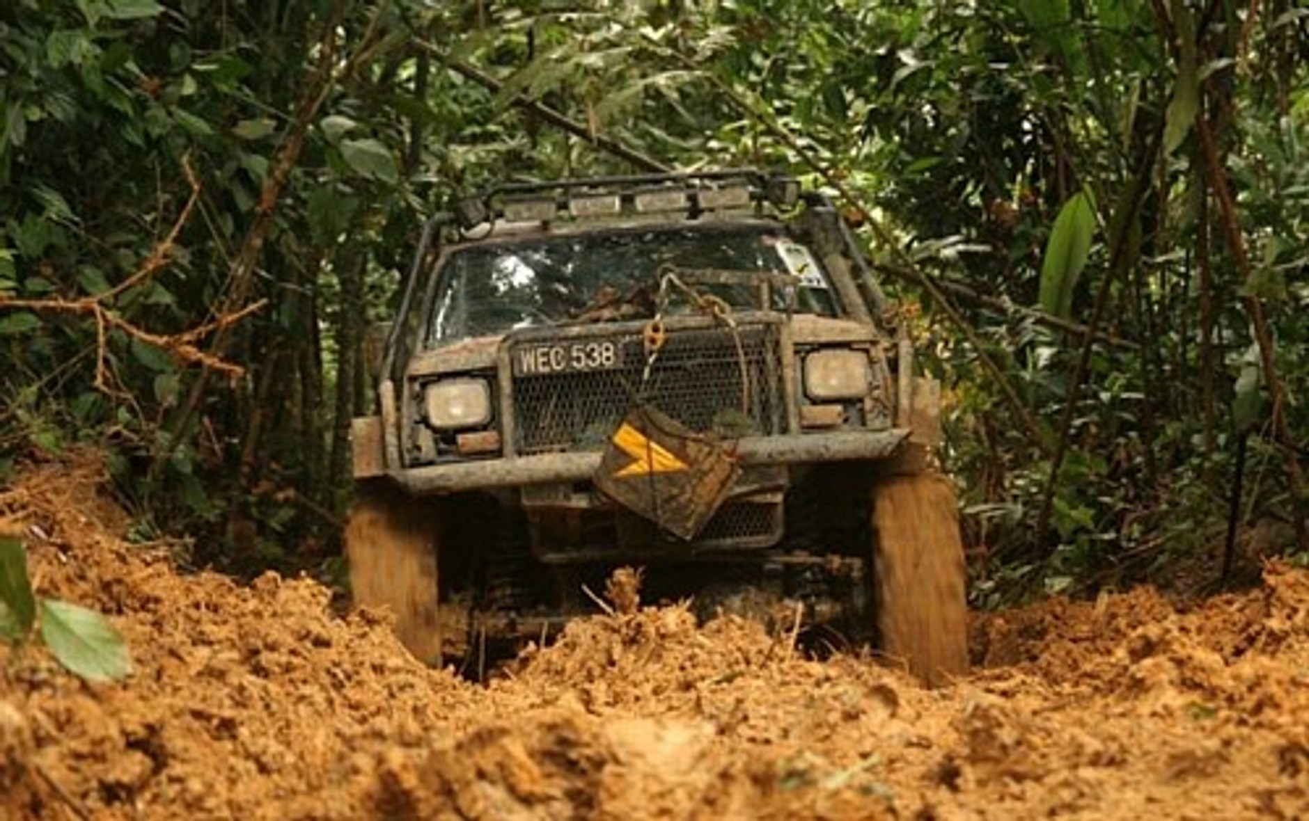 Rainforest Challenge - Samotność maratończyka