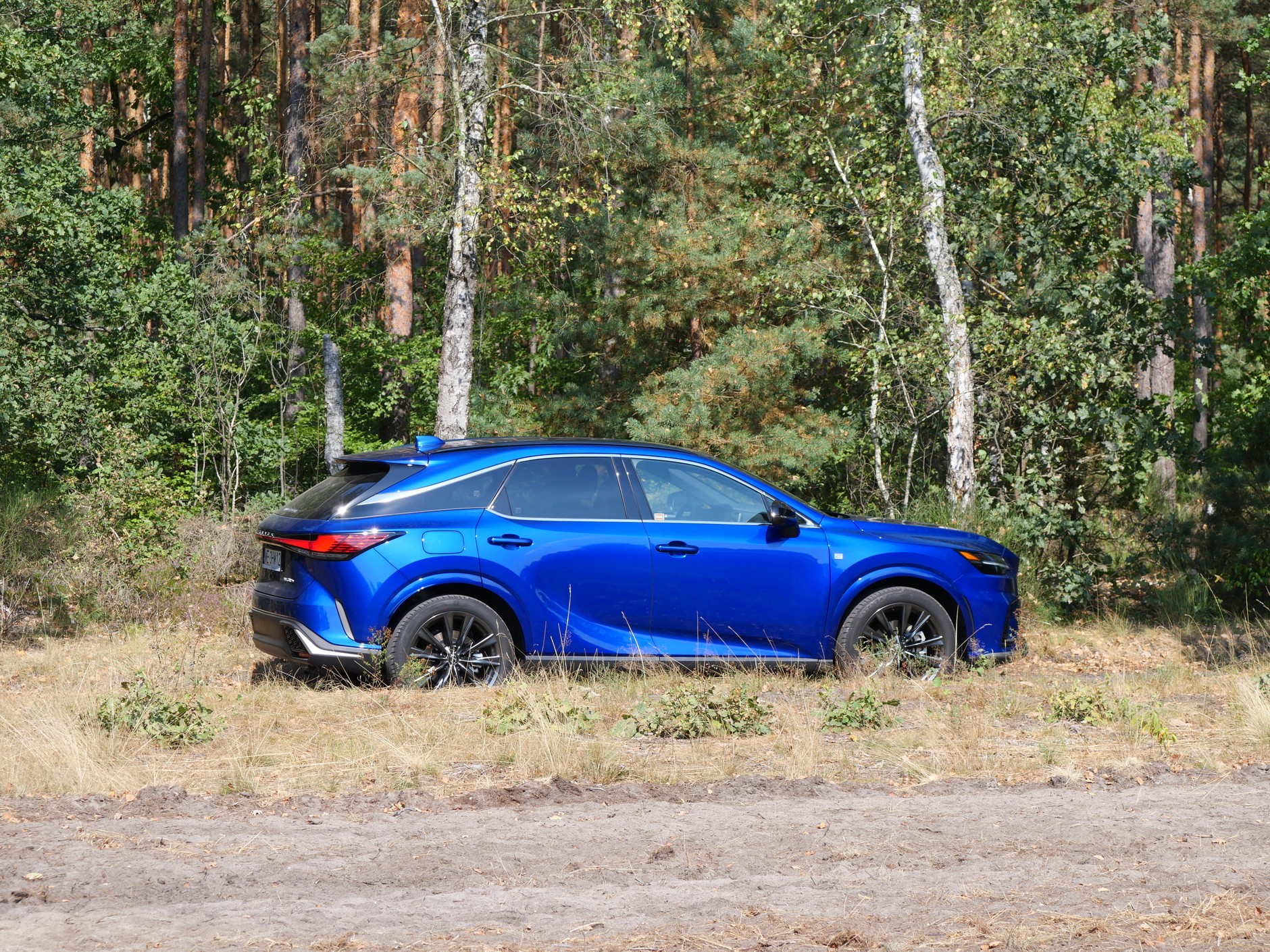 Lexus RX 450H+ F Sport Design