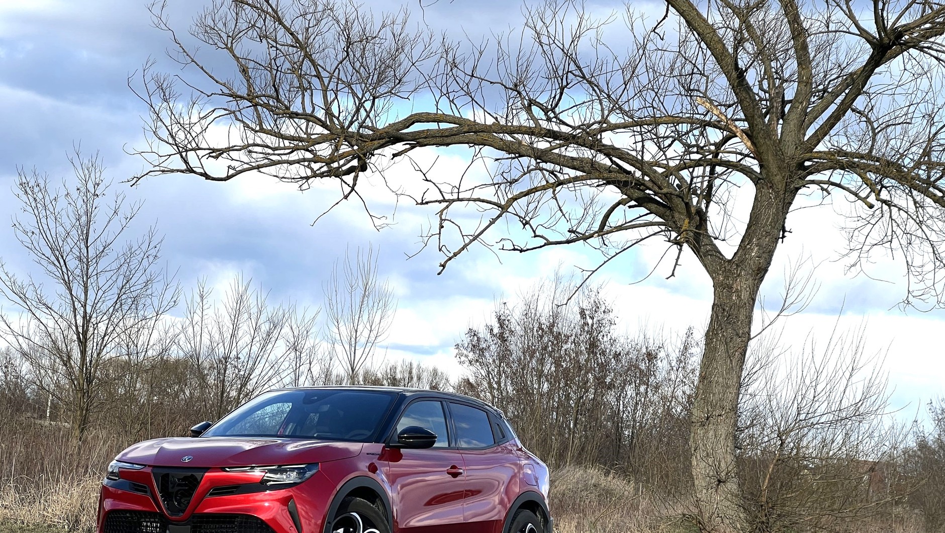 Alfa Romeo Junior