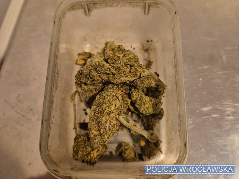 Źródło: dolnoslaska.policja.gov.pl