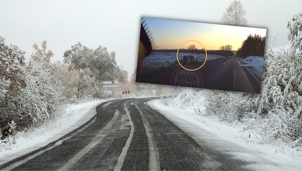 Seal Leon wpadł w poślizg (Screen: YouTube/Stop Cham)