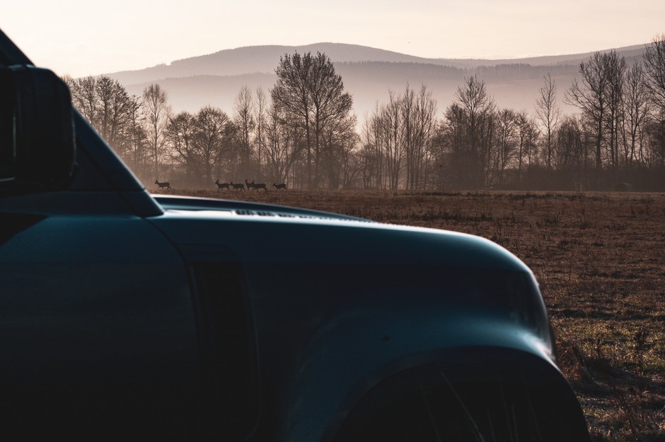 Defender