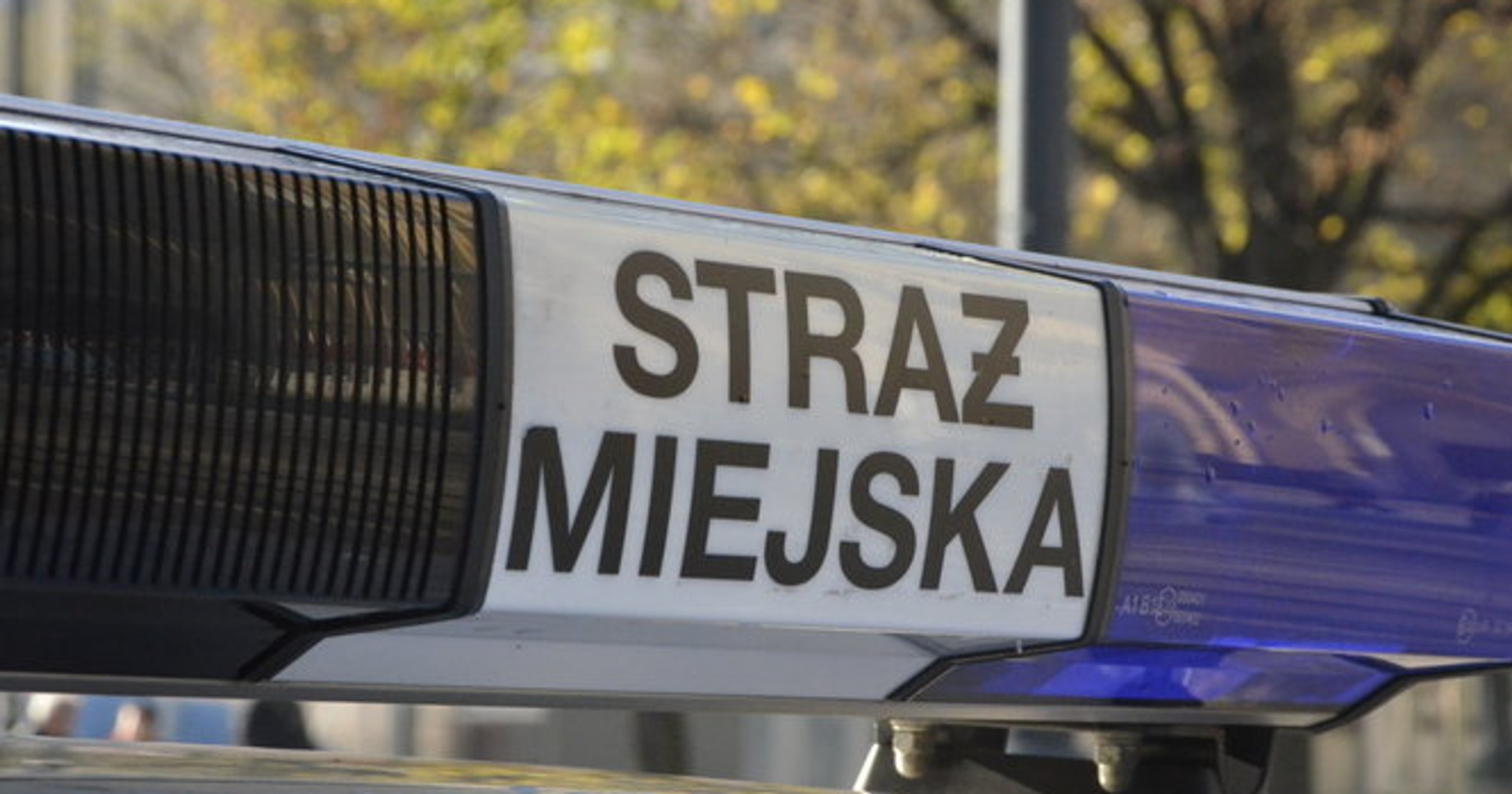 Straż Miejska (zdjęcie ilustracyjne)
