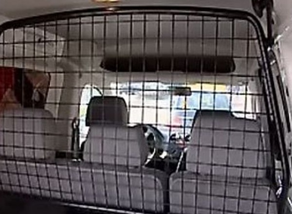 Samochody z kratką i bez VAT - przegląd rynku