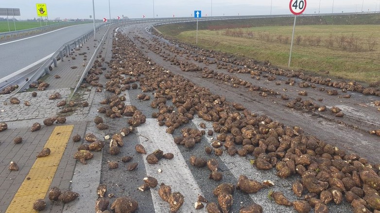 Droga zasypana burakami