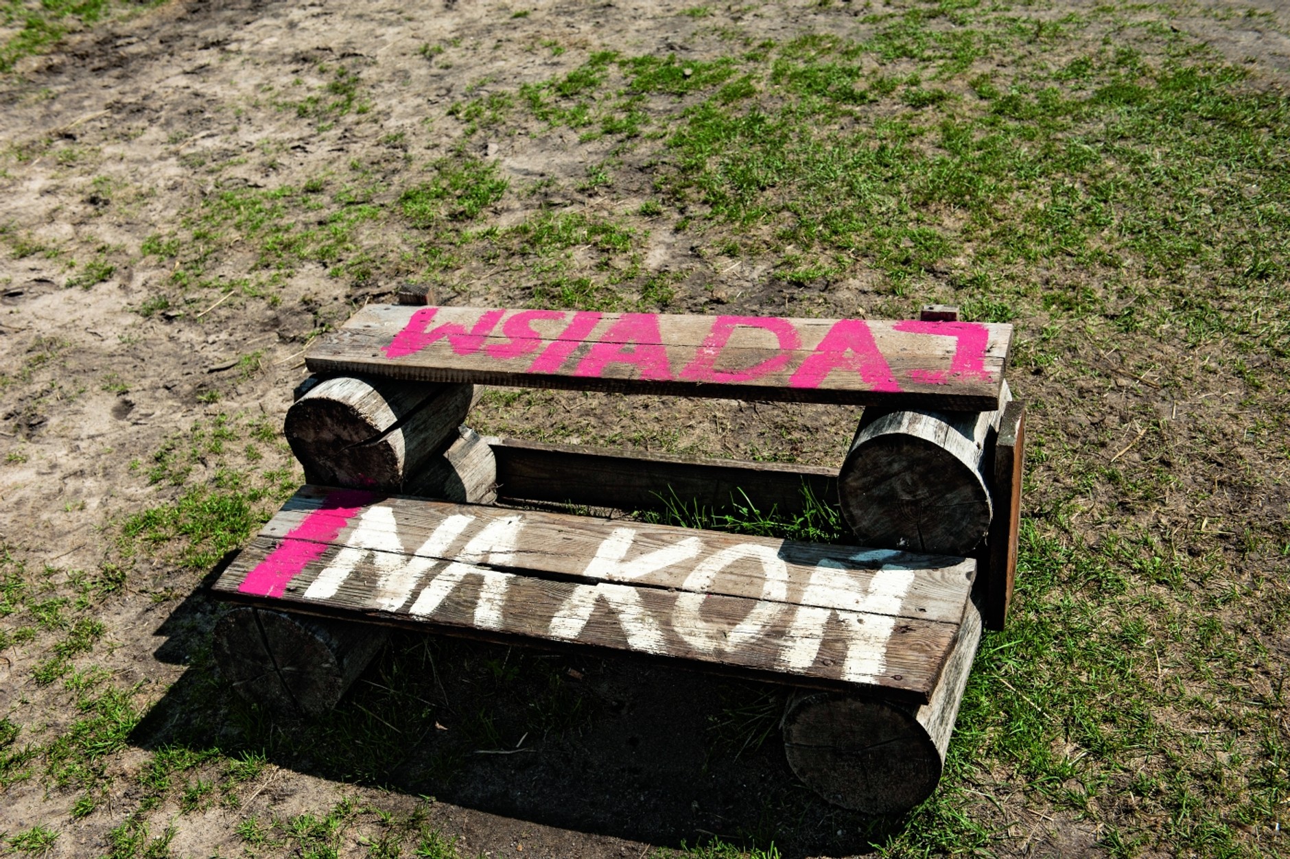 Galop na łące, kłus leśnymi przecinkami