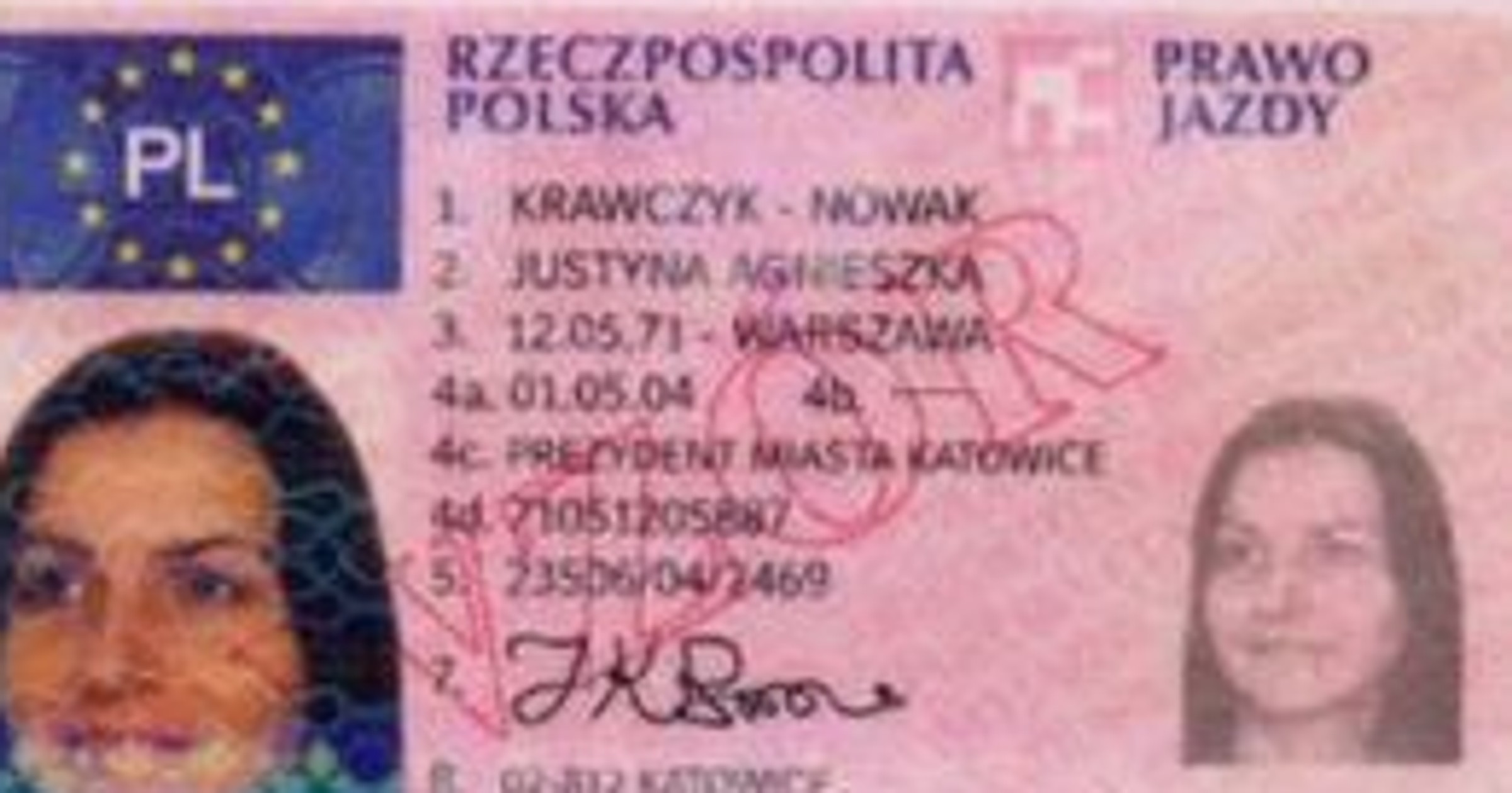 Prawo jazdy: rządowy projekt stał się faktem