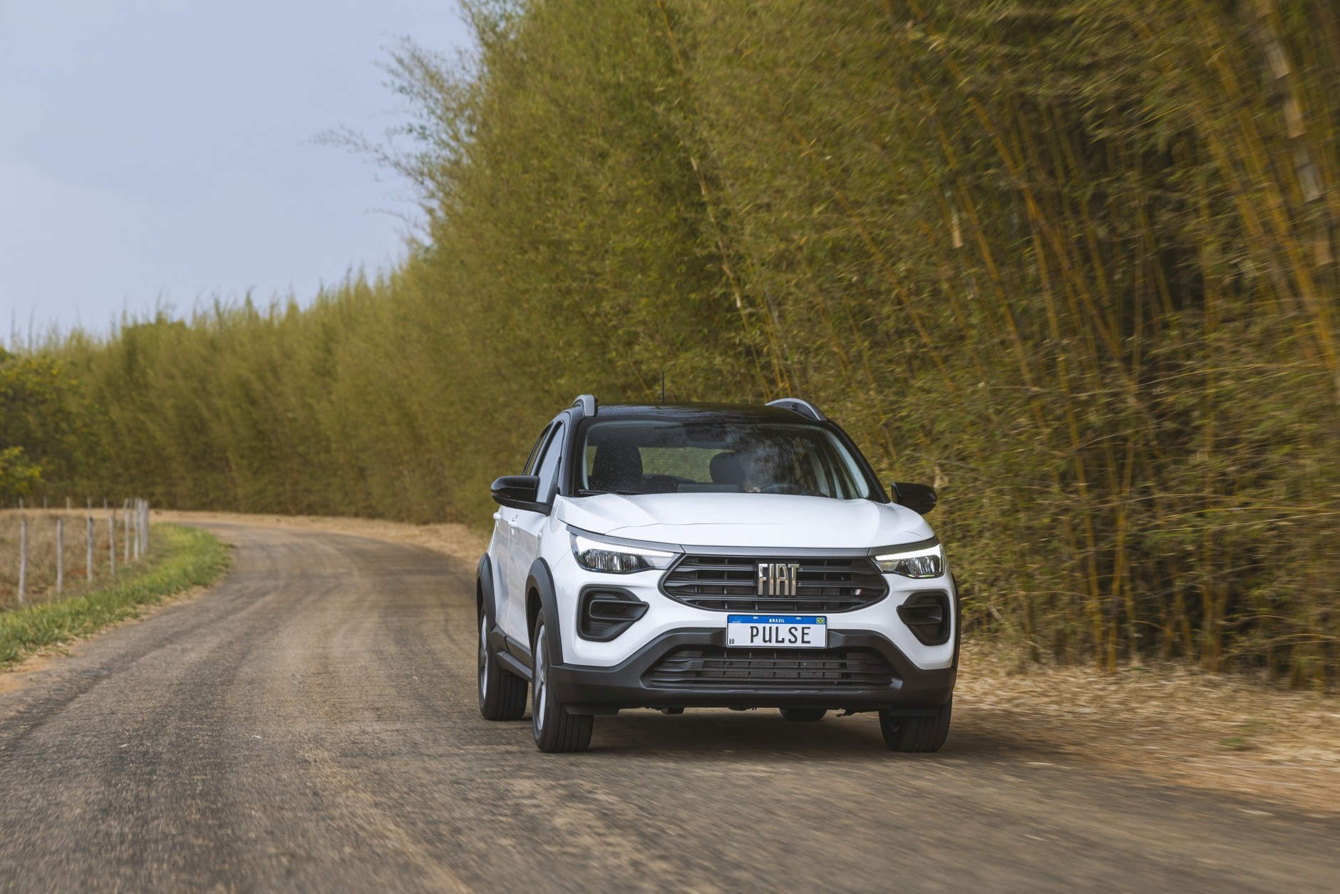 Fiat Pulse 2021 - 1 generacja