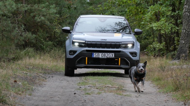 Jeep Avenger The North Face
