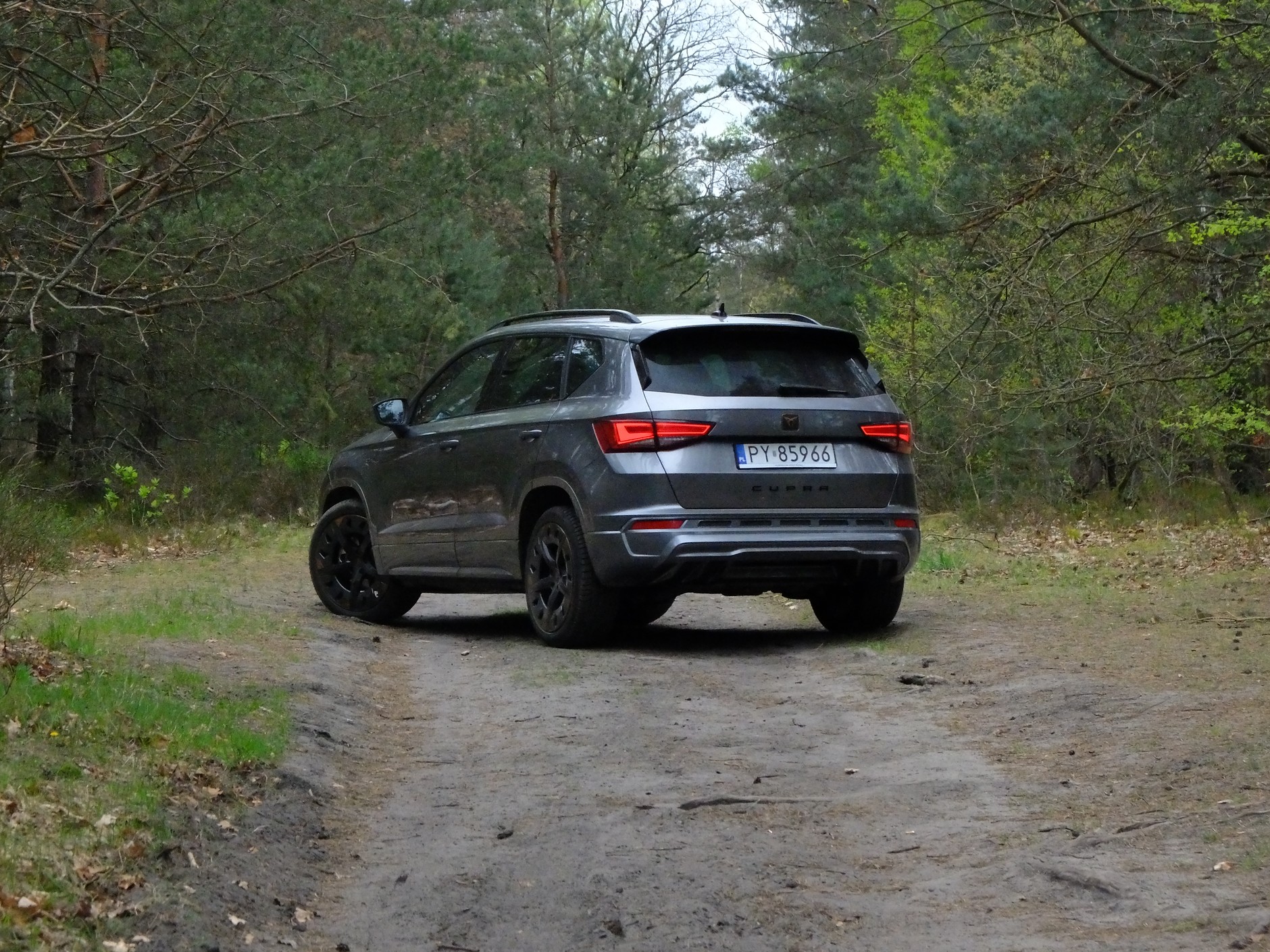 Cupra Ateca 2.0 TSI/190 KM 4x4