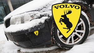 Naklejka z łosiem na autach Volvo. Dlaczego właśnie takie zwierze tam widnieje?