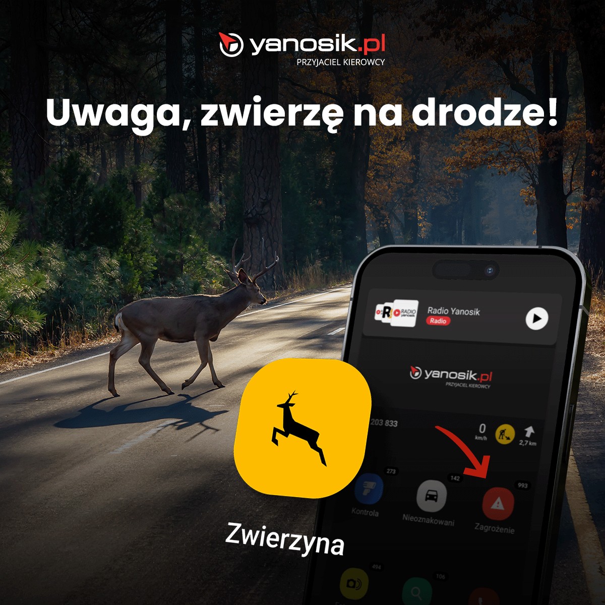 Nowa funkcja Yanosik