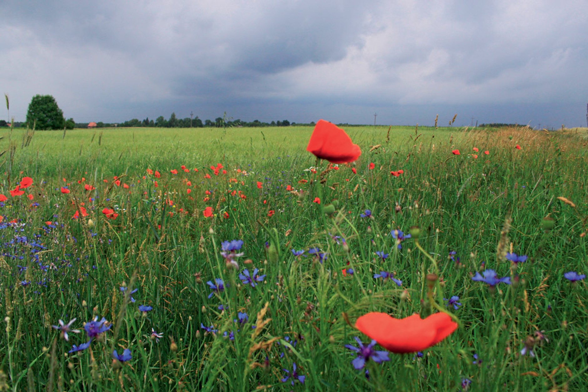 Pojezierze Łęczyńsko-Włodawskie: poznaj uroki Polesia