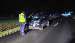 Po zmierzchu piesi są niewidoczni dla kierowców, ale polski rząd nie widzi problemu