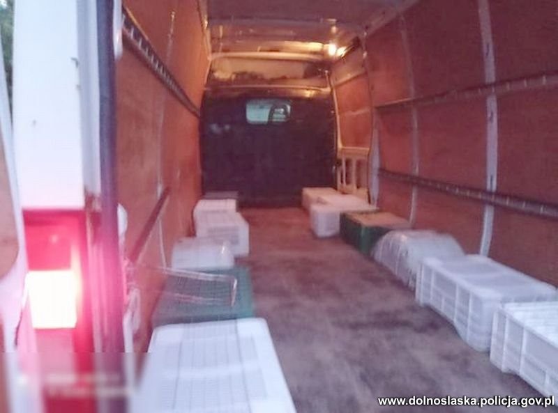 To miała być rutynowa kontrola. Odkryto w przedziale ładunkowym 29 osób