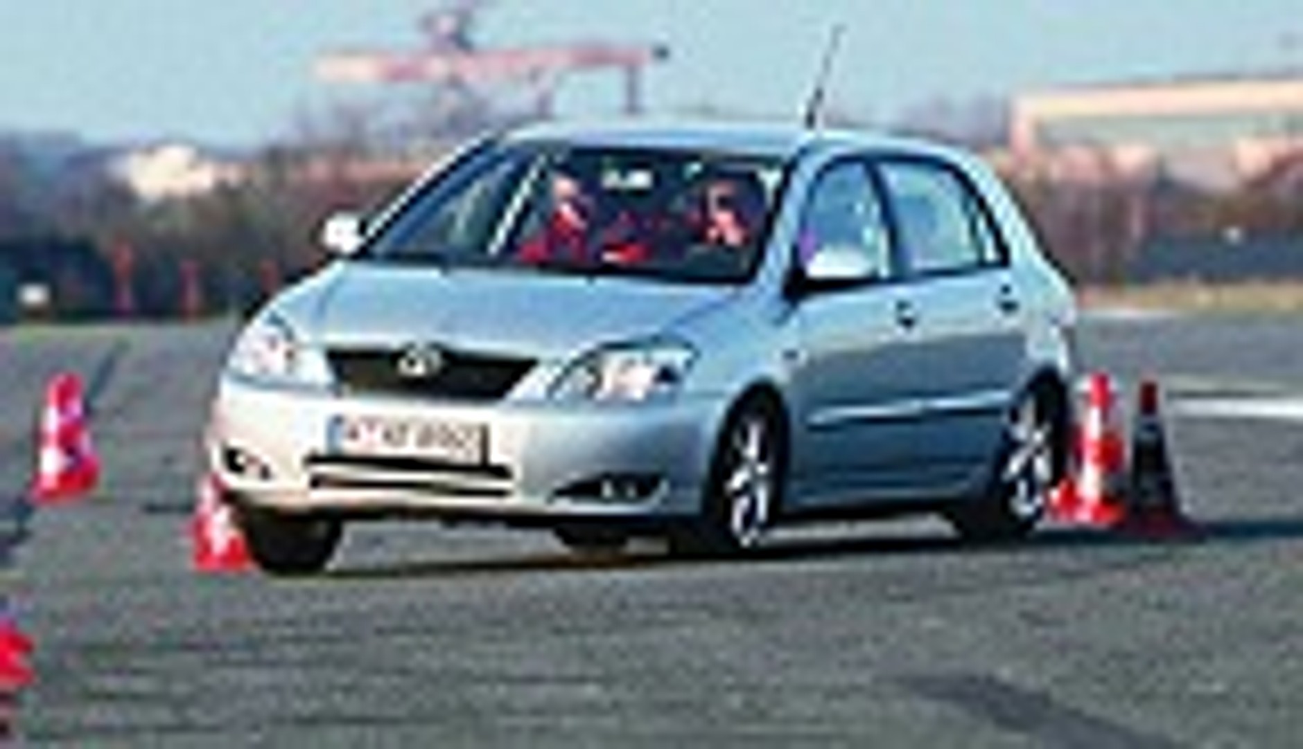 Szara myszka wychodzi z cienia