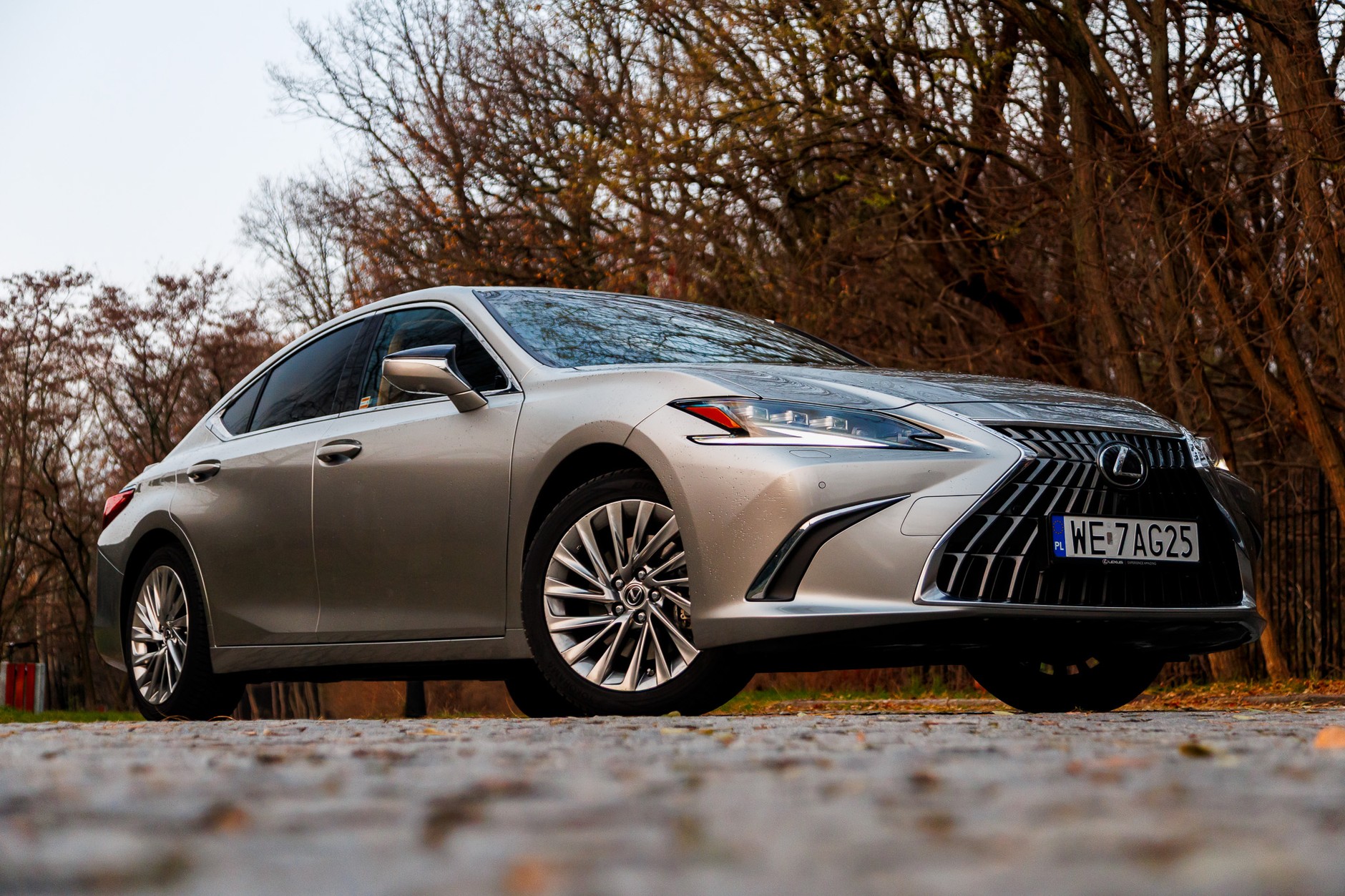 2024 Lexus ES300h