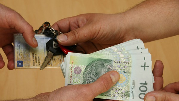 Kierowca, czyli dojna krowa