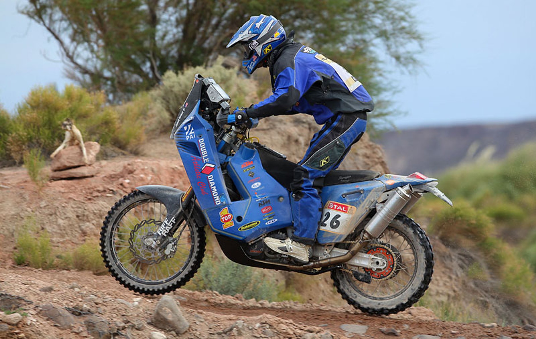 Rajd Dakar 2009: Hołowczyc na mecie maratonu z życiowym sukcesem (14. etap, wyniki)