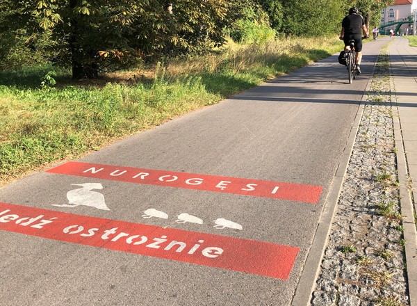 Policja wstrzymała ruch w Warszawie. Nurogęsi przechodziły przez Czerniakowską