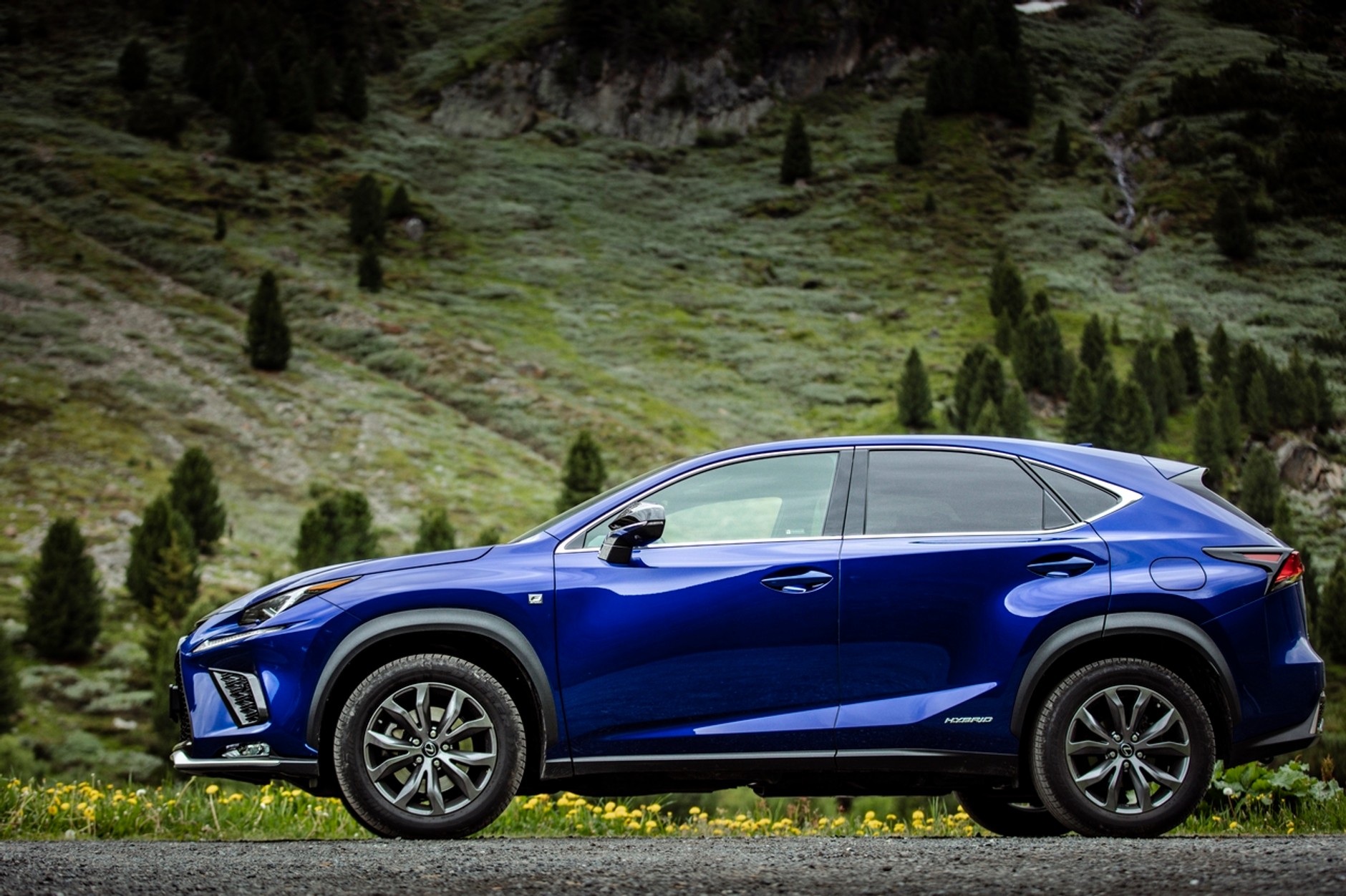 Lexus NX 300h F Sport