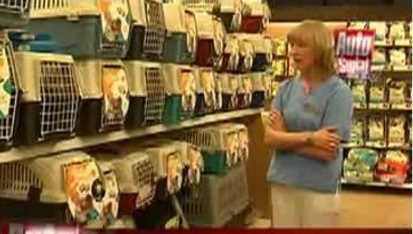 Auto Świat TV - Jak przewozić zwierzęta w samochodzie?