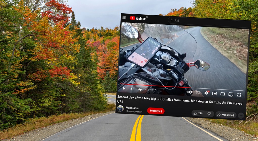 Motocyklista zderzył się z jeleniem. Mężczyzna miał dużo szczęścia