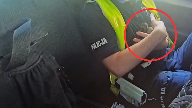 Policjantom z białostockiej drogówki udało się odnaleźć mamę zagubionych kaczątek