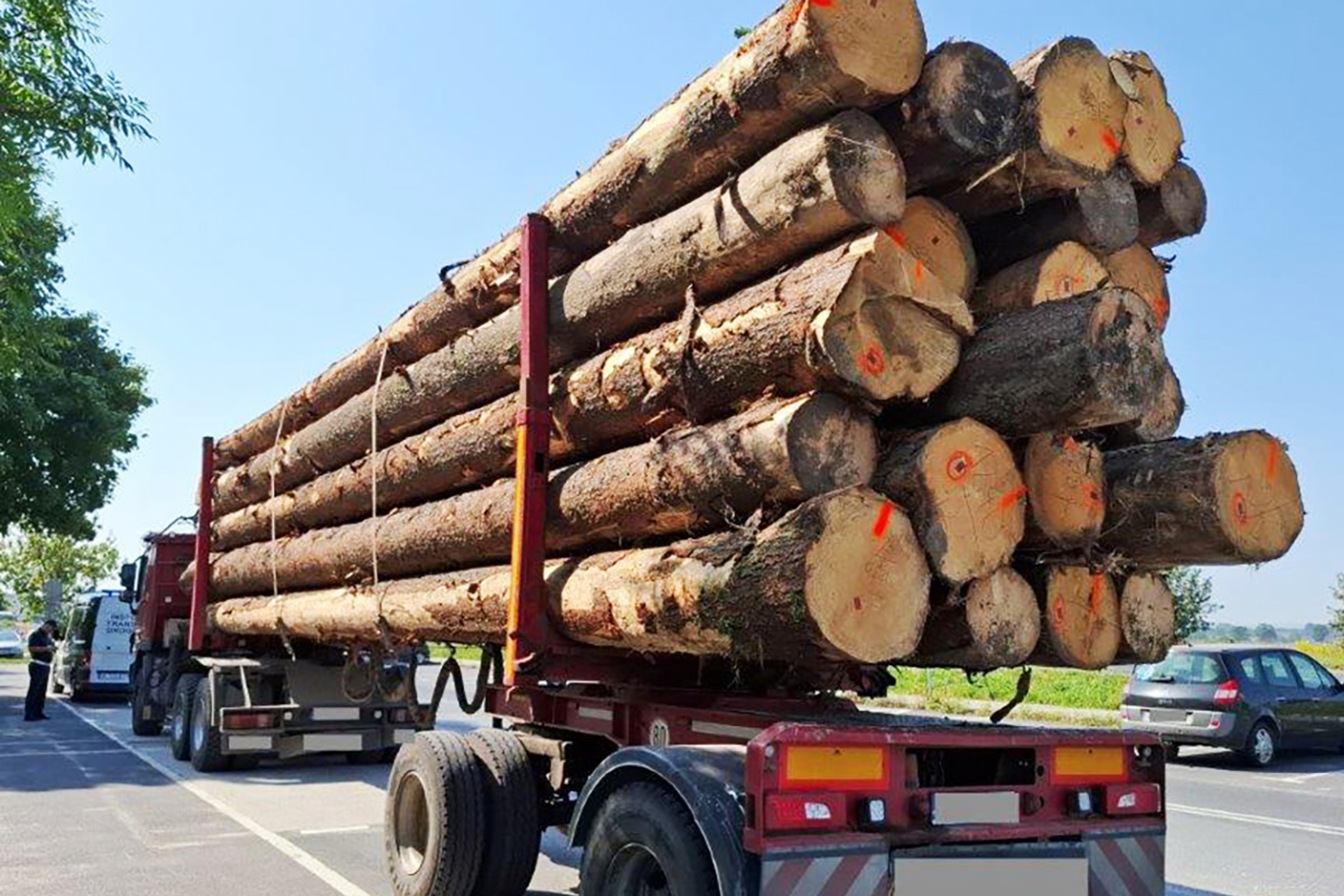 To mógł być transport jak z "Oszukać przeznaczenie". Inspektorzy ITD zatrzymali drewno
