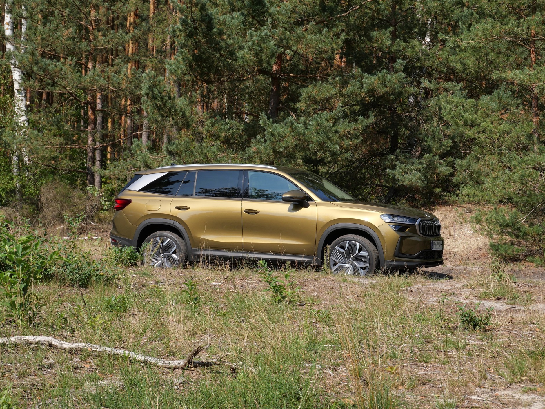 Nowa Skoda Kodiaq (2024)