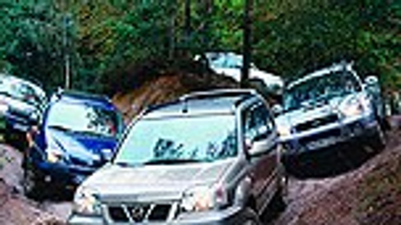 Na śródmiejską dżunglę