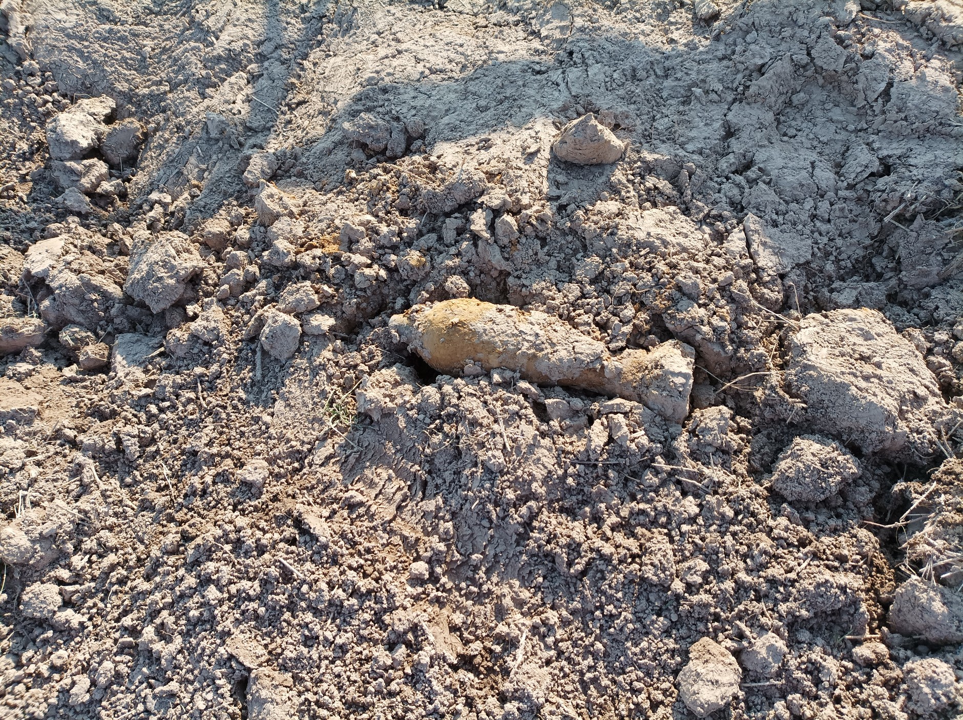 Rozpoznanie saperskie jest nieodłącznym elementem inwestycji drogowych