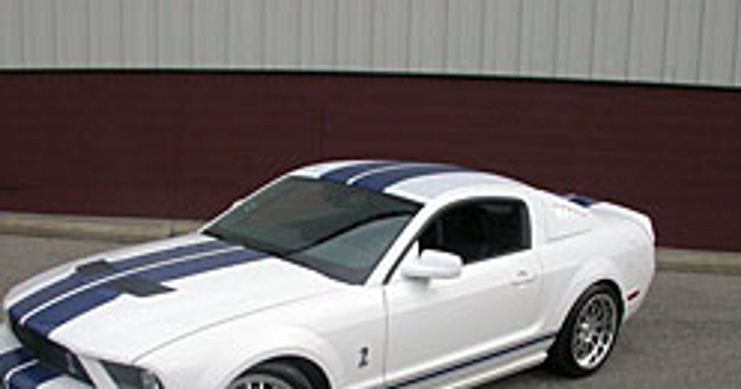 StangNet Mustang GT500: wściekła zebra