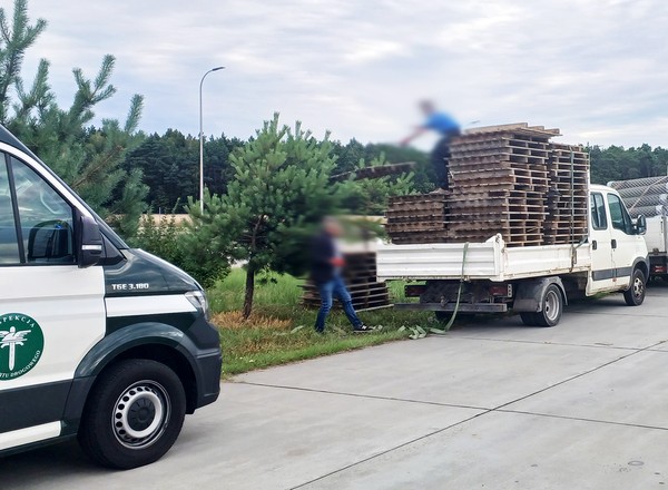 Na pace puste palety, a dmc przekroczone. Przypadek?